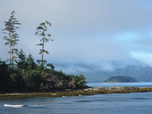 Rennel Sound Ocean Mist Haida Gwaii